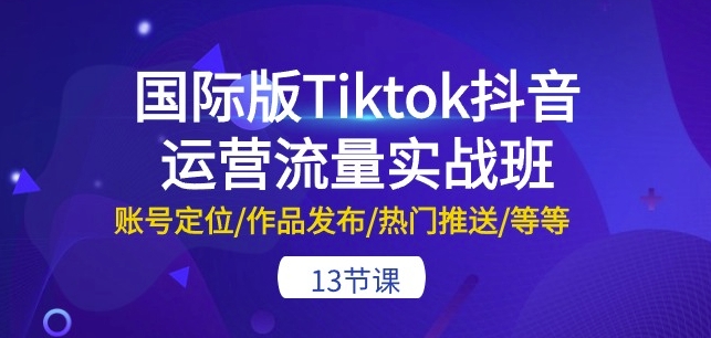 国际版Tiktok抖音运营流量实战班：账号定位/作品发布/热门推送/等等-13节-轻松搞定副业 - 高效赚钱方法和建议