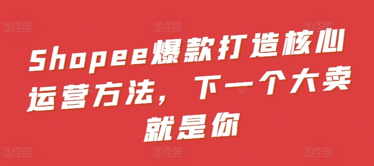 Shopee爆款打造核心运营方法，下一个大卖就是你-轻松搞定副业 - 高效赚钱方法和建议