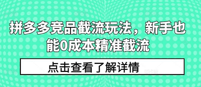 拼多多竞品截流玩法，新手也能0成本精准截流-轻松搞定副业 - 高效赚钱方法和建议