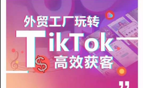 外贸工厂玩转TikTok高效获客，多种引流方式与账号定位技巧，拆解爆款短视频打造成功案例-搞个副业