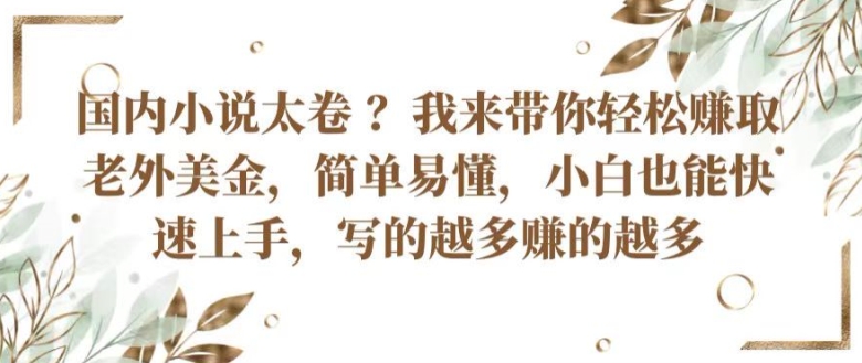 国内小说太卷 ?带你轻松赚取老外美金，简单易懂，小白也能快速上手，写的越多赚的越多【揭秘】-轻松搞定副业 - 高效赚钱方法和建议