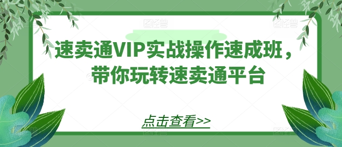 速卖通VIP实战操作速成班，带你玩转速卖通平台-轻松搞定副业 - 高效赚钱方法和建议