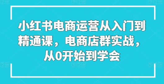 小红书电商运营从入门到精通课，电商店群实战，从0开始到学会-轻松搞定副业 - 高效赚钱方法和建议