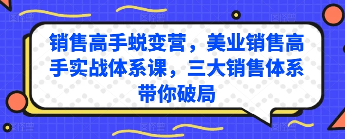 销售高手蜕变营，美业销售高手实战体系课，三大销售体系带你破局-轻松搞定副业 - 高效赚钱方法和建议