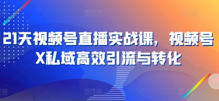 21天视频号直播实战课，视频号X私域高效引流与转化-轻松搞定副业 - 高效赚钱方法和建议