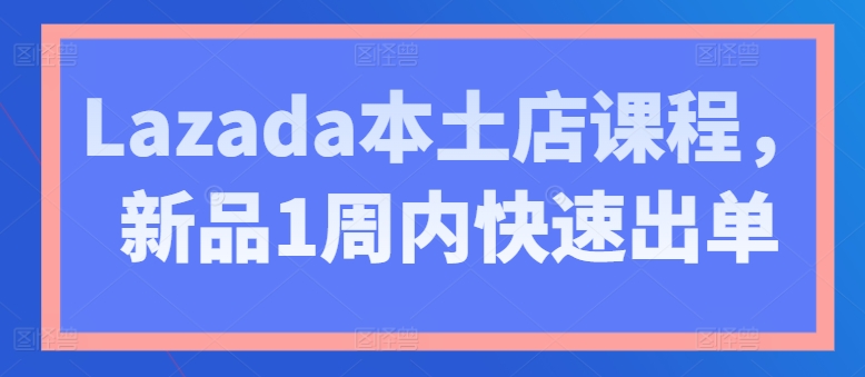 Lazada本土店课程，新品1周内快速出单-轻松搞定副业 - 高效赚钱方法和建议