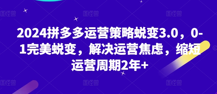 2024拼多多运营策略蜕变3.0，0-1完美蜕变，解决运营焦虑，缩短运营周期2年+-轻松搞定副业 - 高效赚钱方法和建议