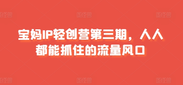 宝妈IP轻创营第三期，人人都能抓住的流量风口-轻松搞定副业 - 高效赚钱方法和建议