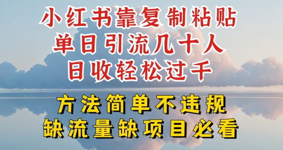 小红书靠复制粘贴单日引流几十人目收轻松过千，方法简单不违规【揭秘】-轻松搞定副业 - 高效赚钱方法和建议