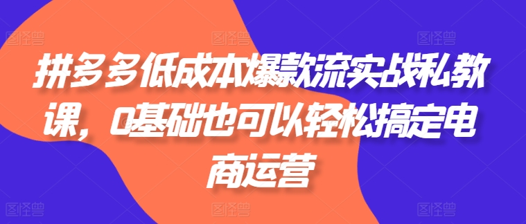 拼多多低成本爆款流实战私教课，0基础也可以轻松搞定电商运营-轻松搞定副业 - 高效赚钱方法和建议