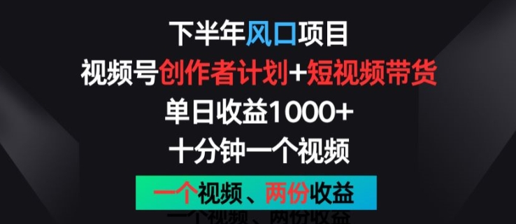 下半年风口项目，视频号创作者计划+视频带货，一个视频两份收益，十分钟一个视频【揭秘】-轻松搞定副业 - 高效赚钱方法和建议