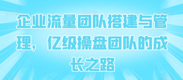 企业流量团队搭建与管理，亿级操盘团队的成长之路-轻松搞定副业 - 高效赚钱方法和建议