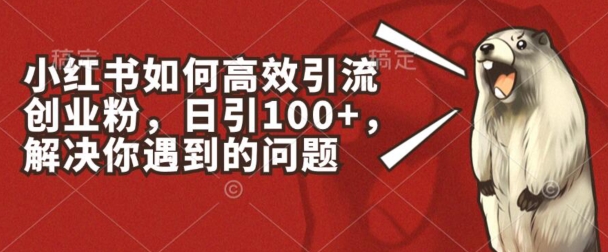 小红书如何高效引流创业粉，日引100+，解决你遇到的问题【揭秘】-轻松搞定副业 - 高效赚钱方法和建议