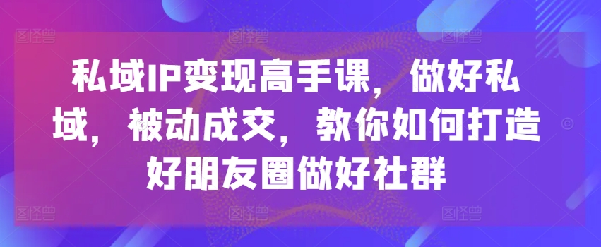 私域IP变现高手课，做好私域，被动成交，教你如何打造好朋友圈做好社群-轻松搞定副业 - 高效赚钱方法和建议