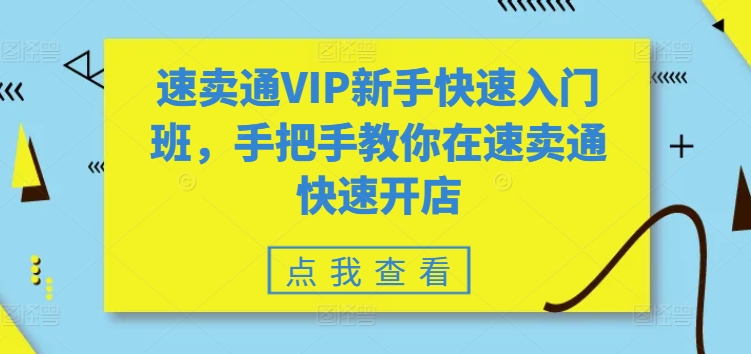 速卖通VIP新手快速入门班，手把手教你在速卖通快速开店-轻松搞定副业 - 高效赚钱方法和建议