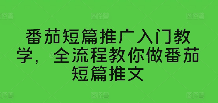 番茄短篇推广入门教学，全流程教你做番茄短篇推文-轻松搞定副业 - 高效赚钱方法和建议