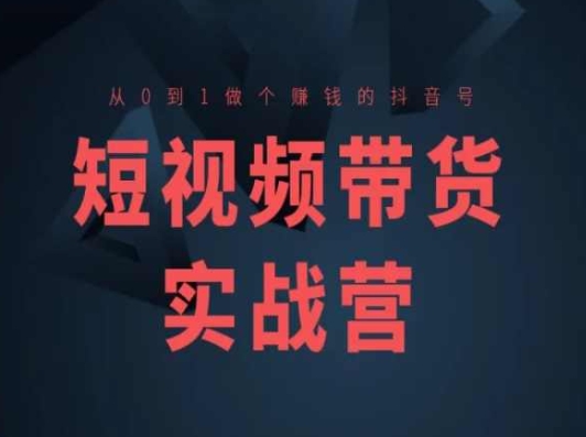 短视频带货实战营(高阶课)，从0到1做个赚钱的抖音号-轻松搞定副业 - 高效赚钱方法和建议