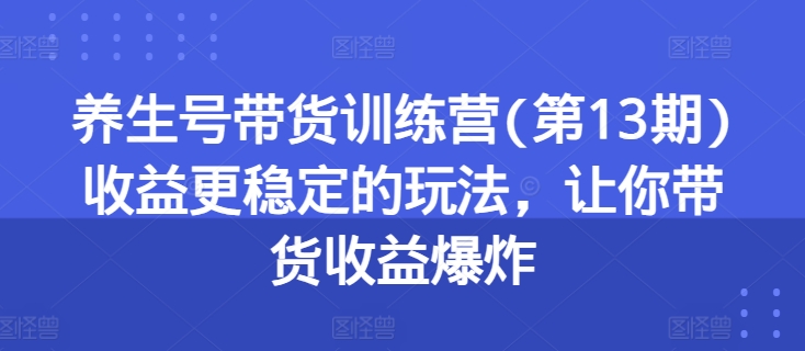 养生号带货训练营(第13期)收益更稳定的玩法，让你带货收益爆炸-轻松搞定副业 - 高效赚钱方法和建议