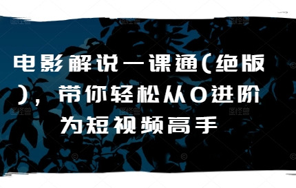 电影解说一课通(绝版)，带你轻松从0进阶为短视频高手-轻松搞定副业 - 高效赚钱方法和建议