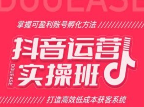 抖音运营实操班，掌握可盈利账号孵化方法，打造高效低成本获客系统-轻松搞定副业 - 高效赚钱方法和建议