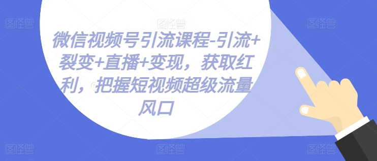 微信视频号引流课程-引流+裂变+直播+变现，获取红利，把握短视频超级流量风口-轻松搞定副业 - 高效赚钱方法和建议