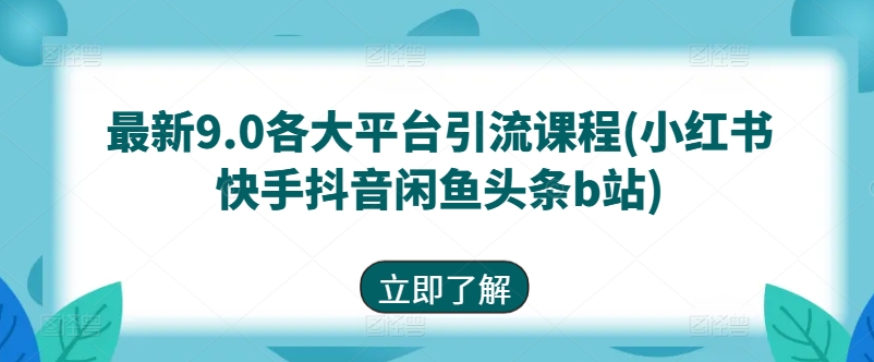 最新9.0各大平台引流课程(小红书快手抖音闲鱼头条b站)-轻松搞定副业 - 高效赚钱方法和建议