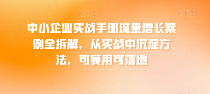 中小企业实战手册流量增长案例全拆解，从实战中沉淀方法，可复用可落地-轻松搞定副业 - 高效赚钱方法和建议
