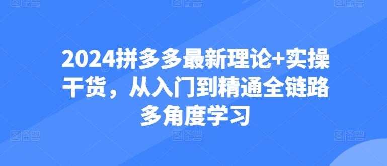 2024拼多多最新理论+实操干货，从入门到精通全链路多角度学习-轻松搞定副业 - 高效赚钱方法和建议