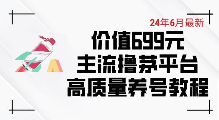 6月最新价值699的主流撸茅台平台精品养号下车攻略【揭秘】-轻松搞定副业 - 高效赚钱方法和建议