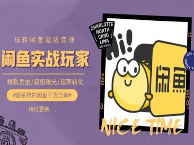 手把手教你0到1系统玩转闲鱼变现，爆款思维/超级曝光/超高转化-轻松搞定副业 - 高效赚钱方法和建议