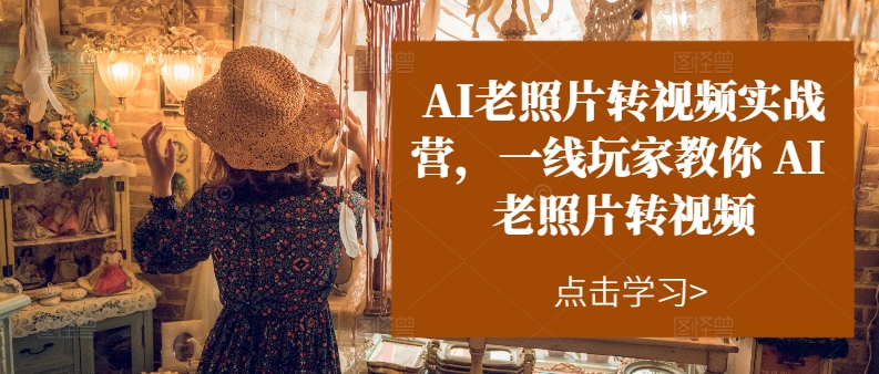 AI老照片转视频实战营，一线玩家教你AI老照片转视频-轻松搞定副业 - 高效赚钱方法和建议