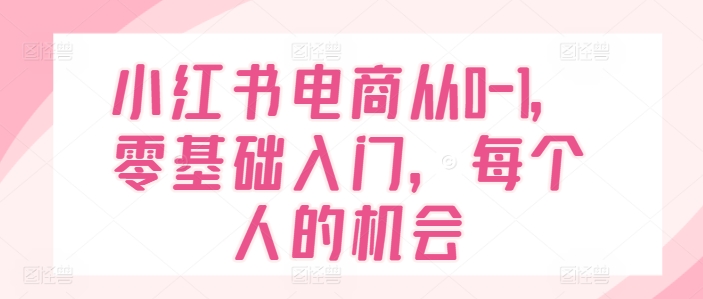 小红书电商从0-1，零基础入门，每个人的机会-轻松搞定副业 - 高效赚钱方法和建议