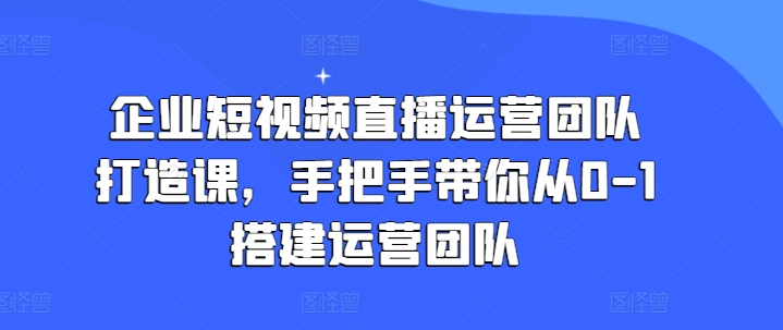 企业短视频直播运营团队打造课，手把手带你从0-1搭建运营团队-轻松搞定副业 - 高效赚钱方法和建议