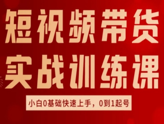 短视频带货实战训练课，好物分享实操，小白0基础快速上手，0到1起号-轻松搞定副业 - 高效赚钱方法和建议