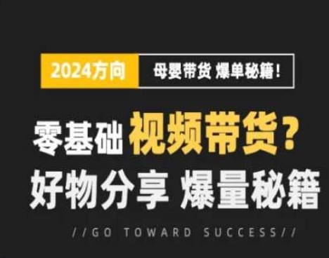 短视频母婴赛道实操流量训练营，零基础视频带货，好物分享，爆量秘籍-轻松搞定副业 - 高效赚钱方法和建议
