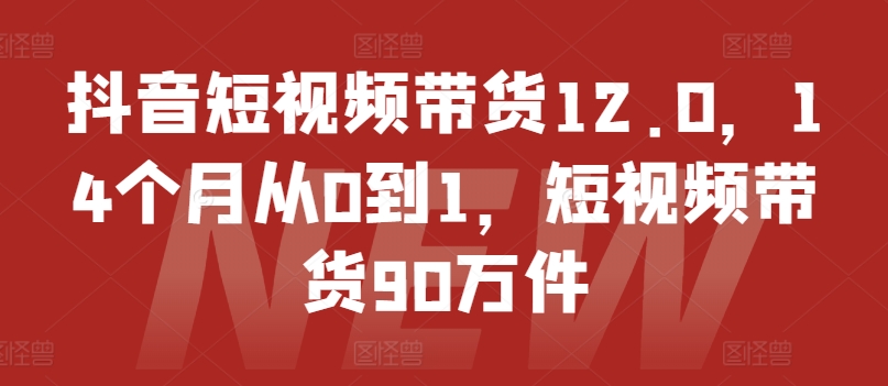 抖音短视频带货12.0，14个月从0到1，短视频带货90万件-轻松搞定副业 - 高效赚钱方法和建议