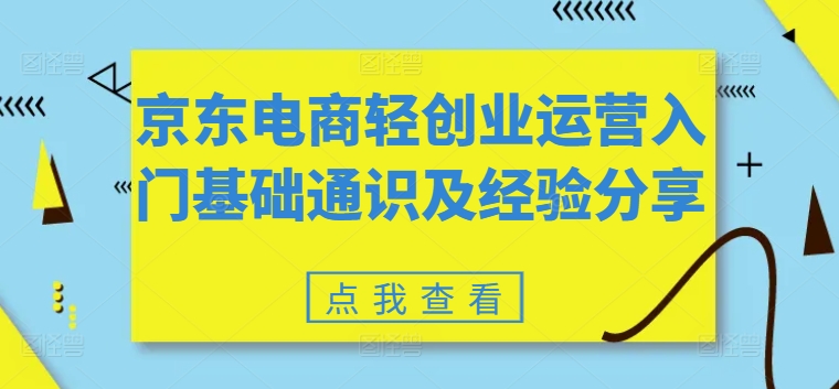 京东电商轻创业运营入门基础通识及经验分享-轻松搞定副业 - 高效赚钱方法和建议