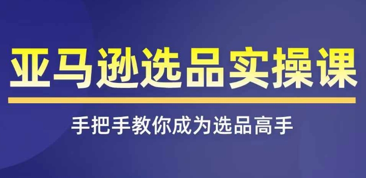 亚马逊选品实操课程，快速掌握亚马逊选品的技巧，覆盖亚马逊选品所有渠道-轻松搞定副业 - 高效赚钱方法和建议