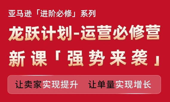 亚马逊进阶必修系列，龙跃计划-运营必修营新课，让卖家实现提升 让单量实现增长-轻松搞定副业 - 高效赚钱方法和建议