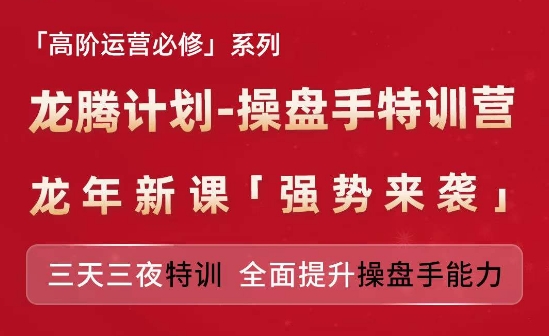 亚马逊高阶运营必修系列，龙腾计划-操盘手特训营，三天三夜特训 全面提升操盘手能力-轻松搞定副业 - 高效赚钱方法和建议