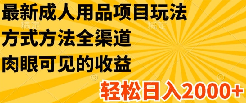 最新成人用品项目玩法，方式方法全渠道，轻松日入2K+【揭秘】-轻松搞定副业 - 高效赚钱方法和建议
