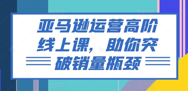亚马逊运营高阶线上课，助你突破销量瓶颈-轻松搞定副业 - 高效赚钱方法和建议