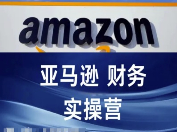 亚马逊财务核算实操营-亚马逊跨境电商教程-轻松搞定副业 - 高效赚钱方法和建议