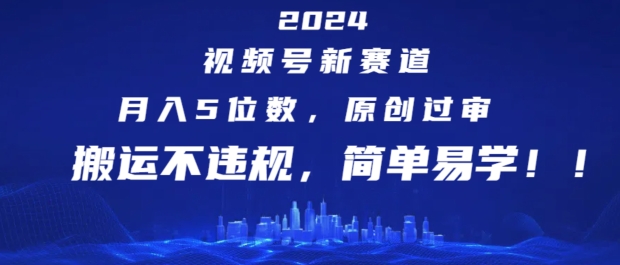 2024视频号新赛道，月入5位数+，原创过审，搬运不违规，简单易学【揭秘】-轻松搞定副业 - 高效赚钱方法和建议
