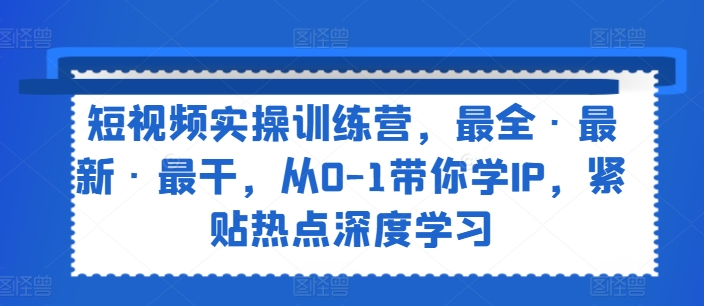 短视频实操训练营，最全·最新·最干，从0-1带你学IP，紧贴热点深度学习-轻松搞定副业 - 高效赚钱方法和建议