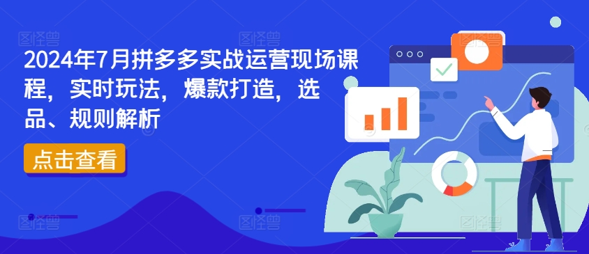 2024年7月拼多多实战运营现场课程，实时玩法，爆款打造，选品、规则解析-轻松搞定副业 - 高效赚钱方法和建议