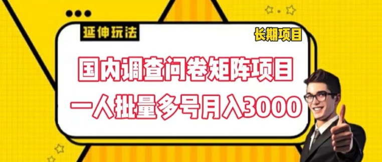 国内调查问卷矩阵项目，一人批量多号月入3000【揭秘】-轻松搞定副业 - 高效赚钱方法和建议