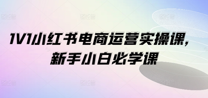 1V1小红书电商运营实操课，新手小白必学课-轻松搞定副业 - 高效赚钱方法和建议