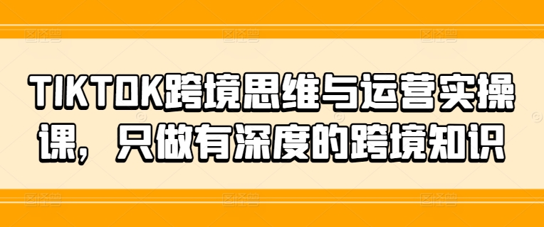 TIKTOK跨境思维与运营实操课，只做有深度的跨境知识-轻松搞定副业 - 高效赚钱方法和建议