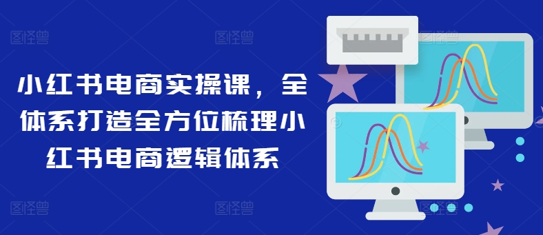 小红书电商实操课，全体系打造全方位梳理小红书电商逻辑体系-轻松搞定副业 - 高效赚钱方法和建议